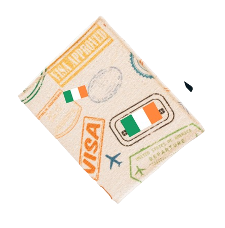 Consulting Visa Irlande